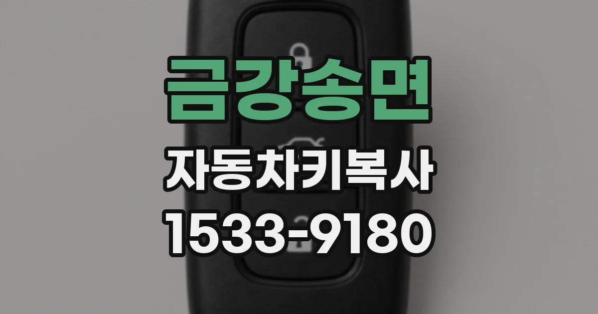 금강송면 자동차키복사