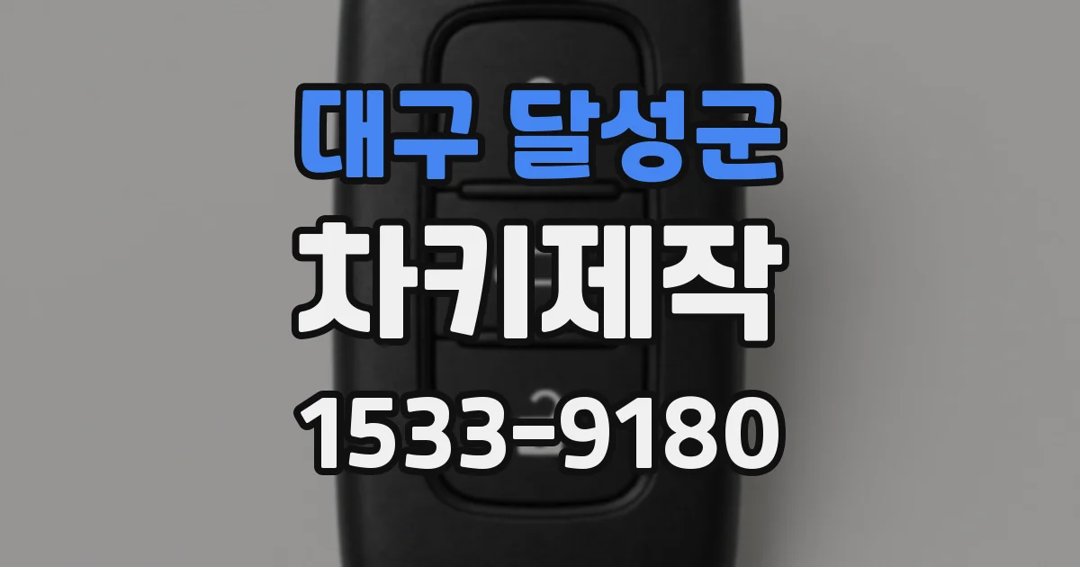 대구 달성군 차키제작