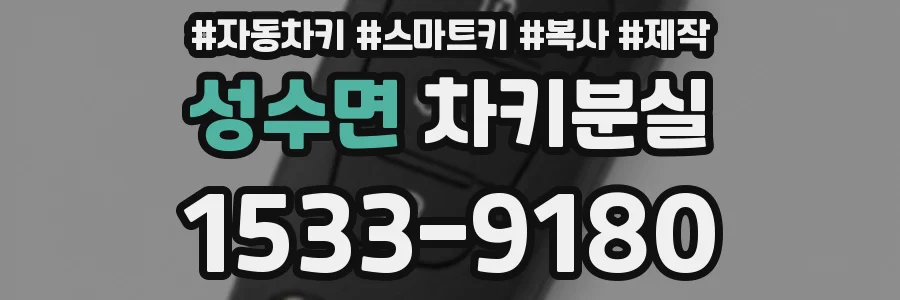 성수면 차키분실
