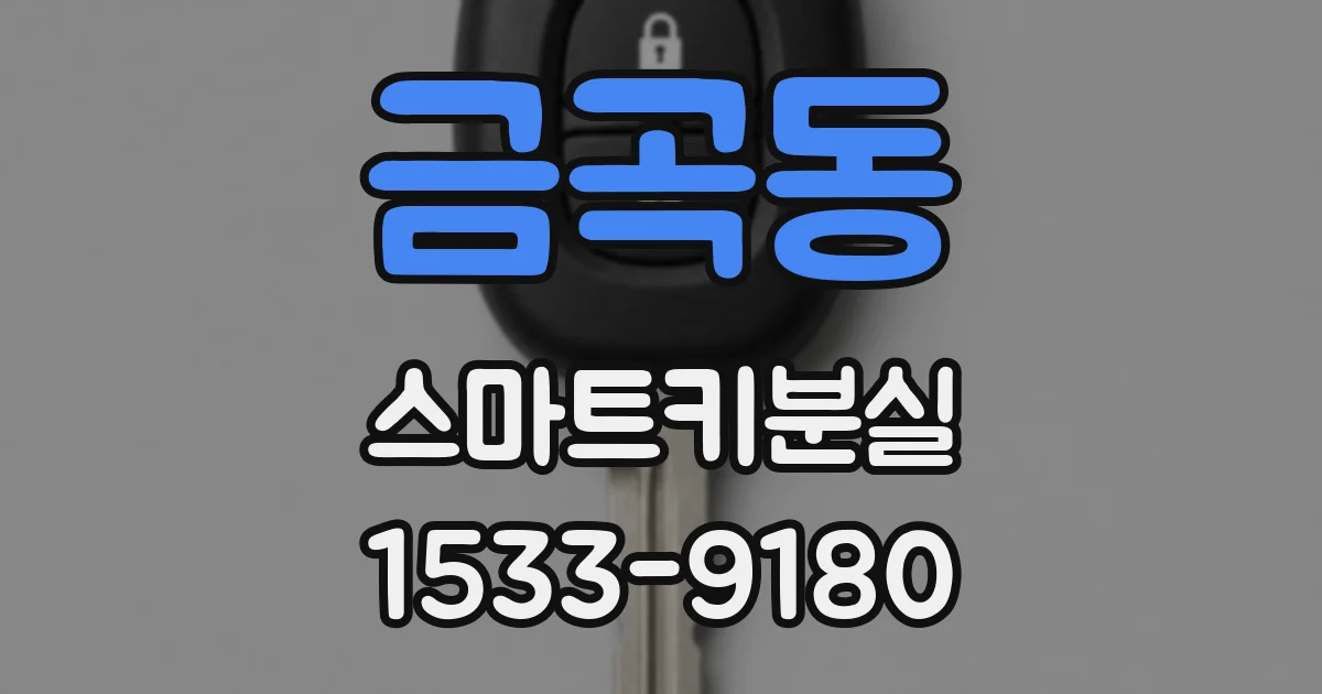 금곡동 스마트키분실