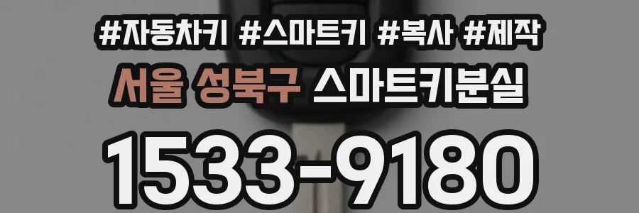 서울 성북구 스마트키분실