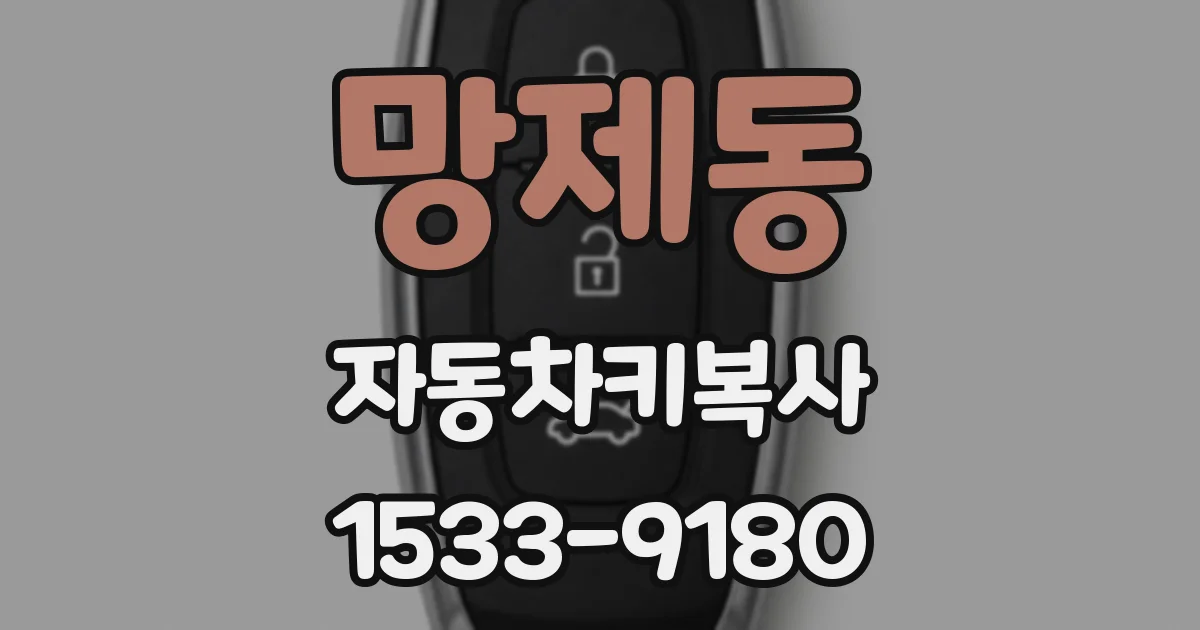 망제동 자동차키복사