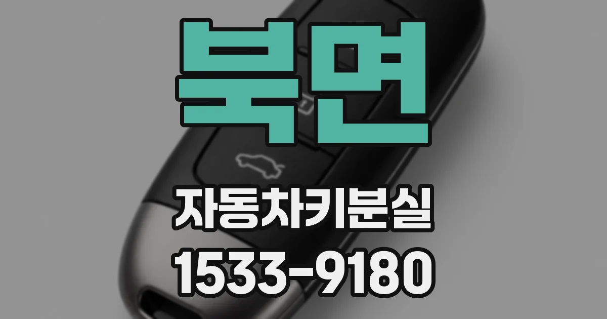북면 자동차키분실