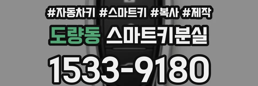 도량동 스마트키분실