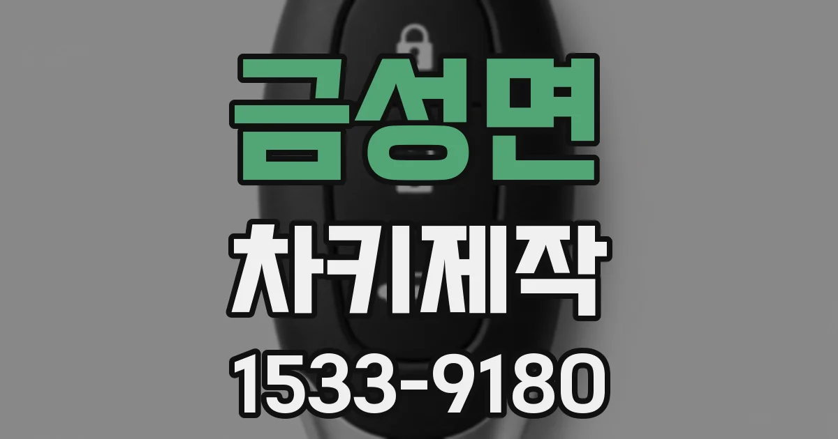 금성면 차키제작