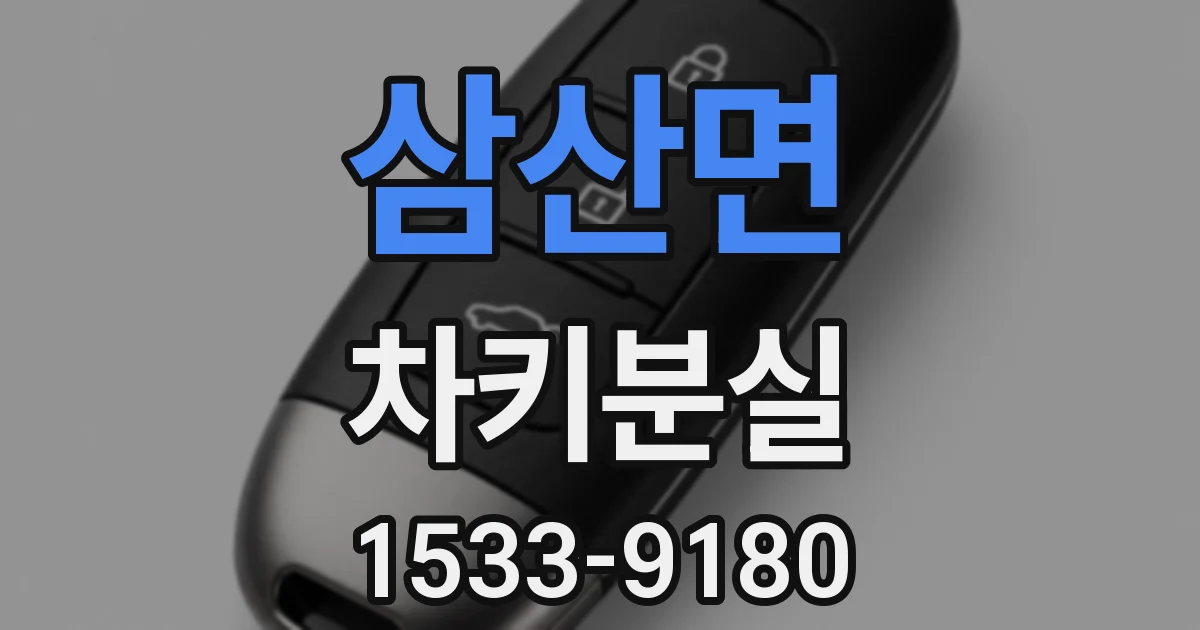 삼산면 차키분실
