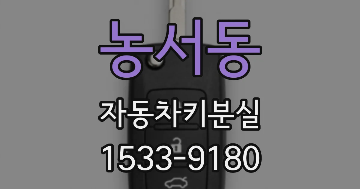 농서동 자동차키분실