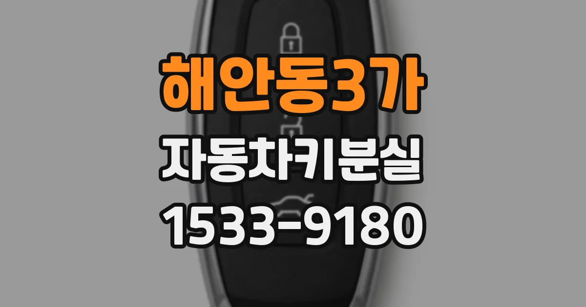 해안동3가 자동차키분실