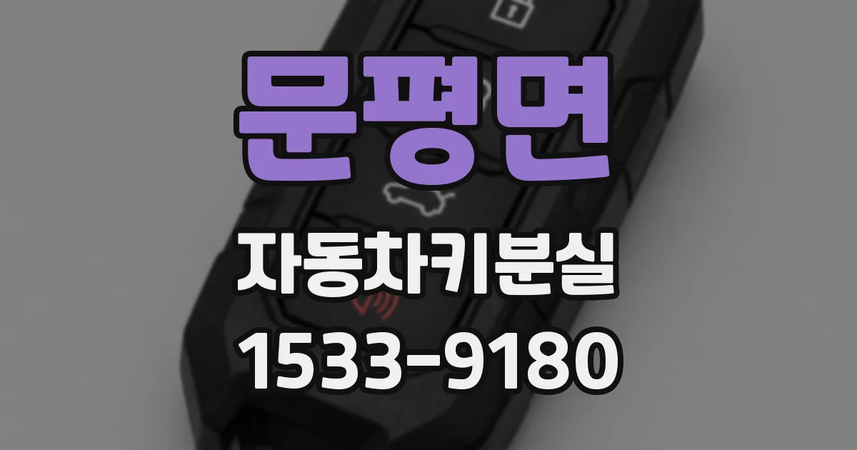 문평면 자동차키분실