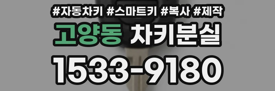 고양동 차키분실