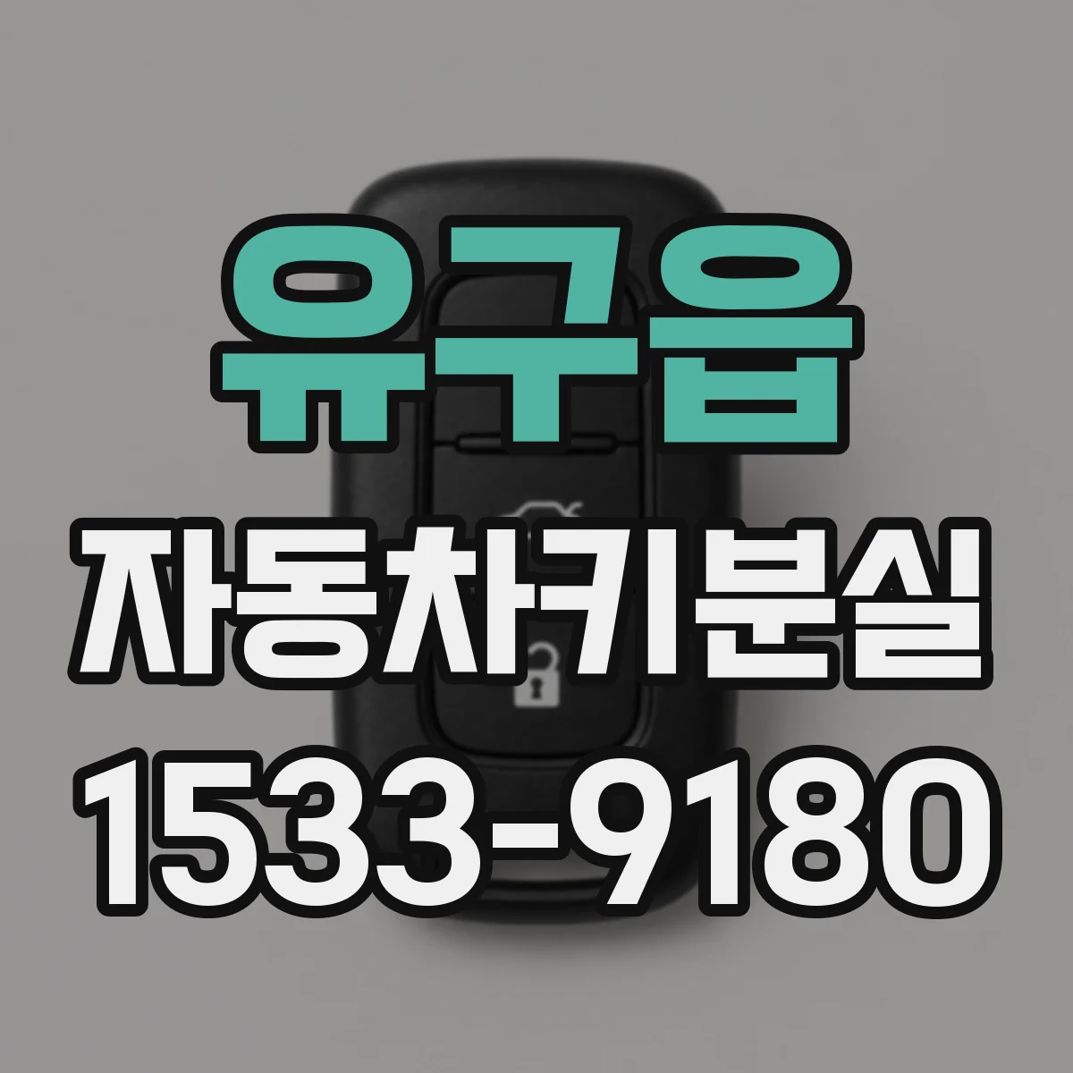 유구읍 자동차키분실