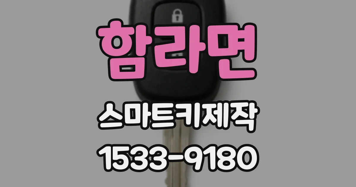 함라면 스마트키제작