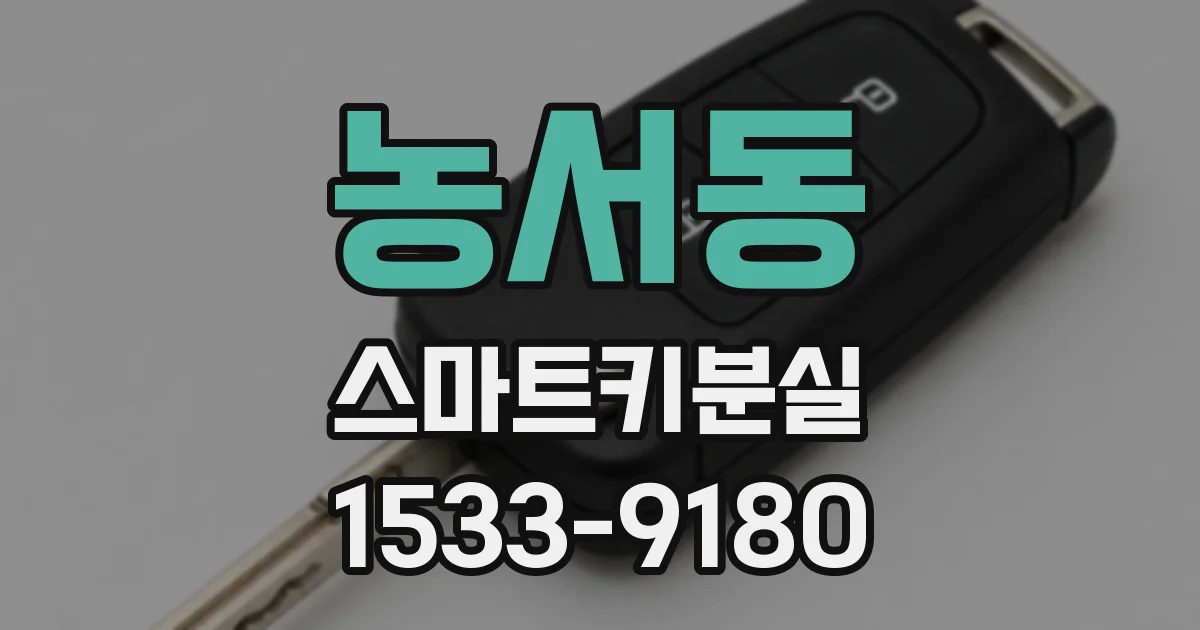 농서동 스마트키분실