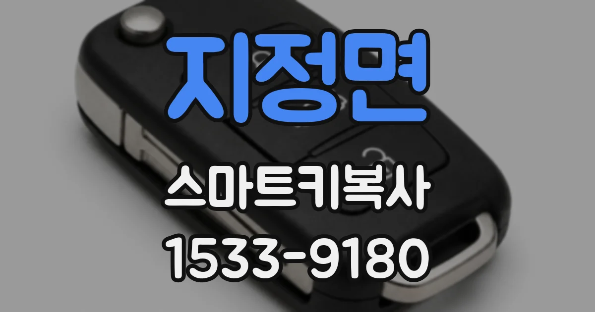 지정면 스마트키복사