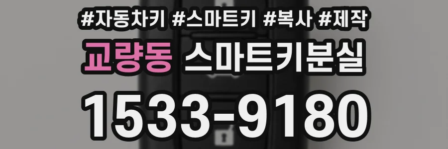 교량동 스마트키분실