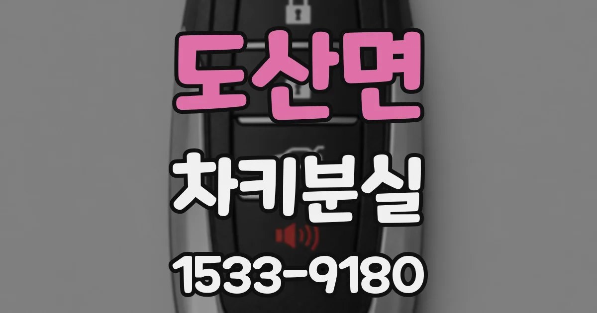 도산면 차키분실