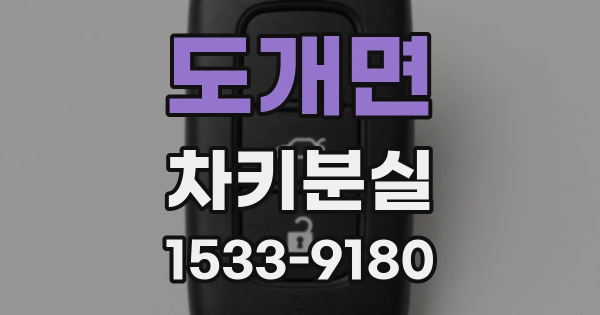 도개면 차키분실