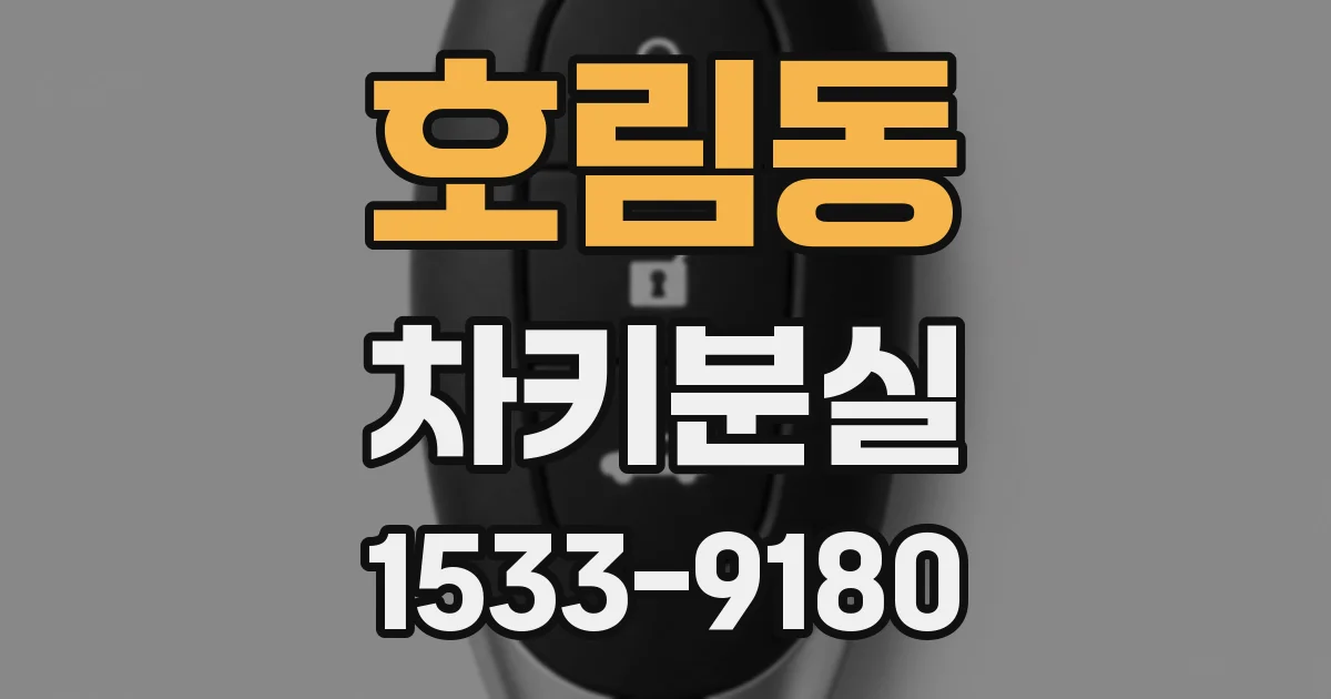 호림동 차키분실