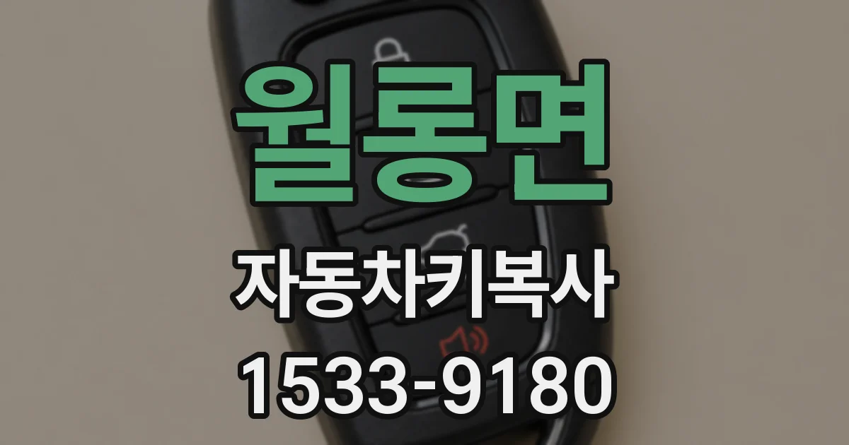 월롱면 자동차키복사