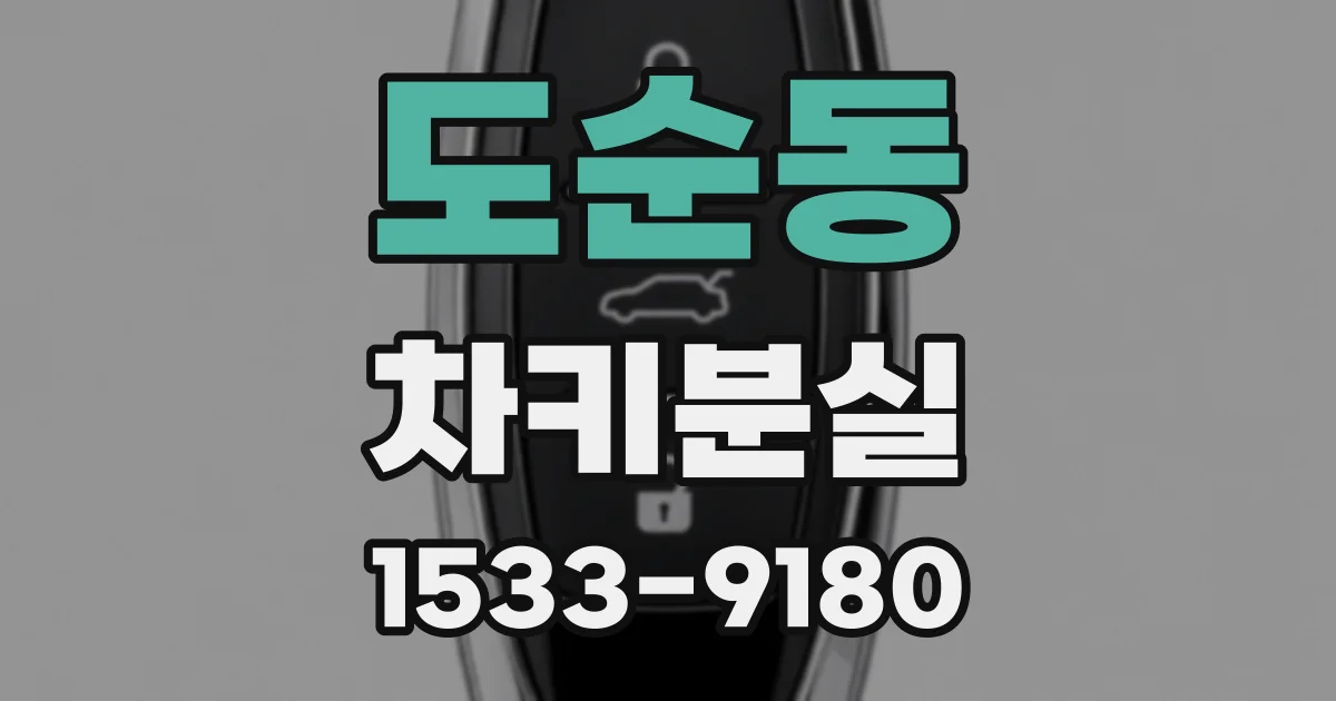 도순동 차키분실