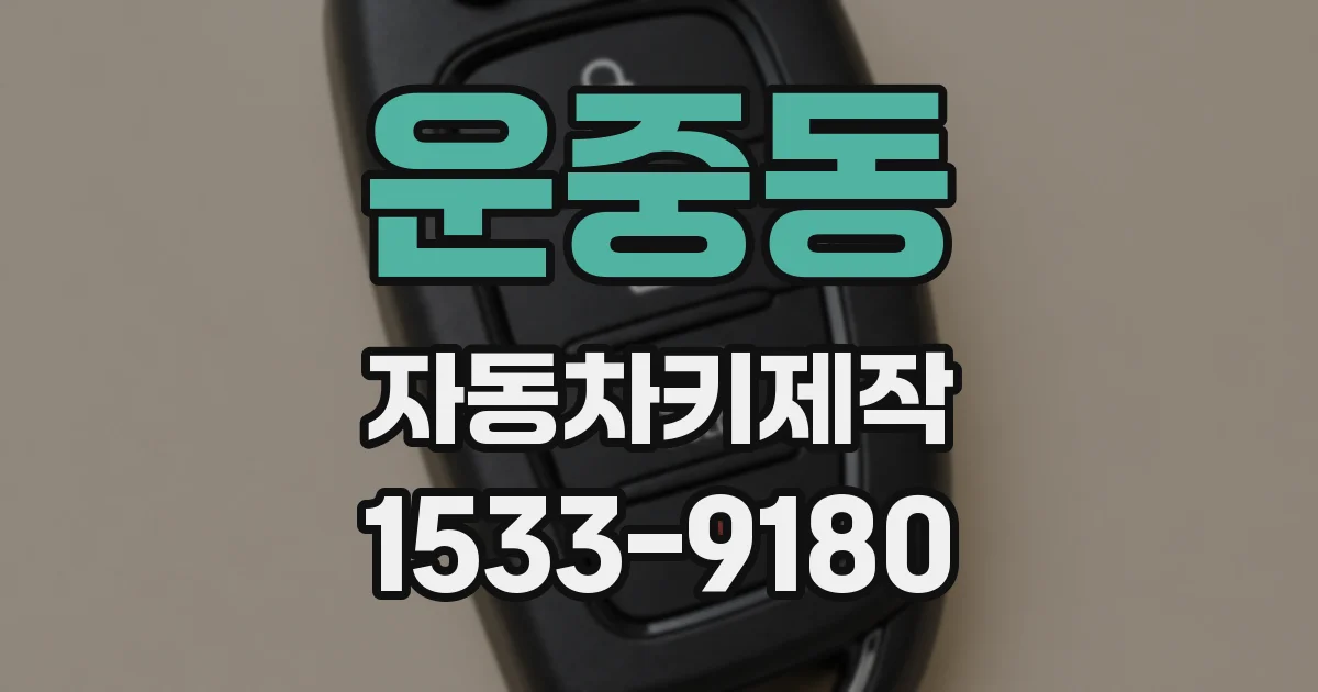 운중동 자동차키제작