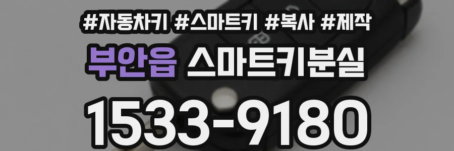 부안읍 스마트키분실