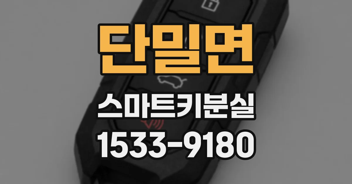 단밀면 스마트키분실