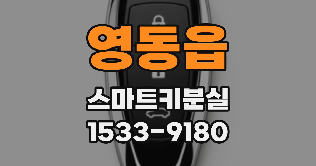 영동읍 스마트키분실