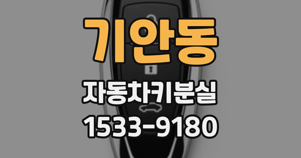 기안동 자동차키분실