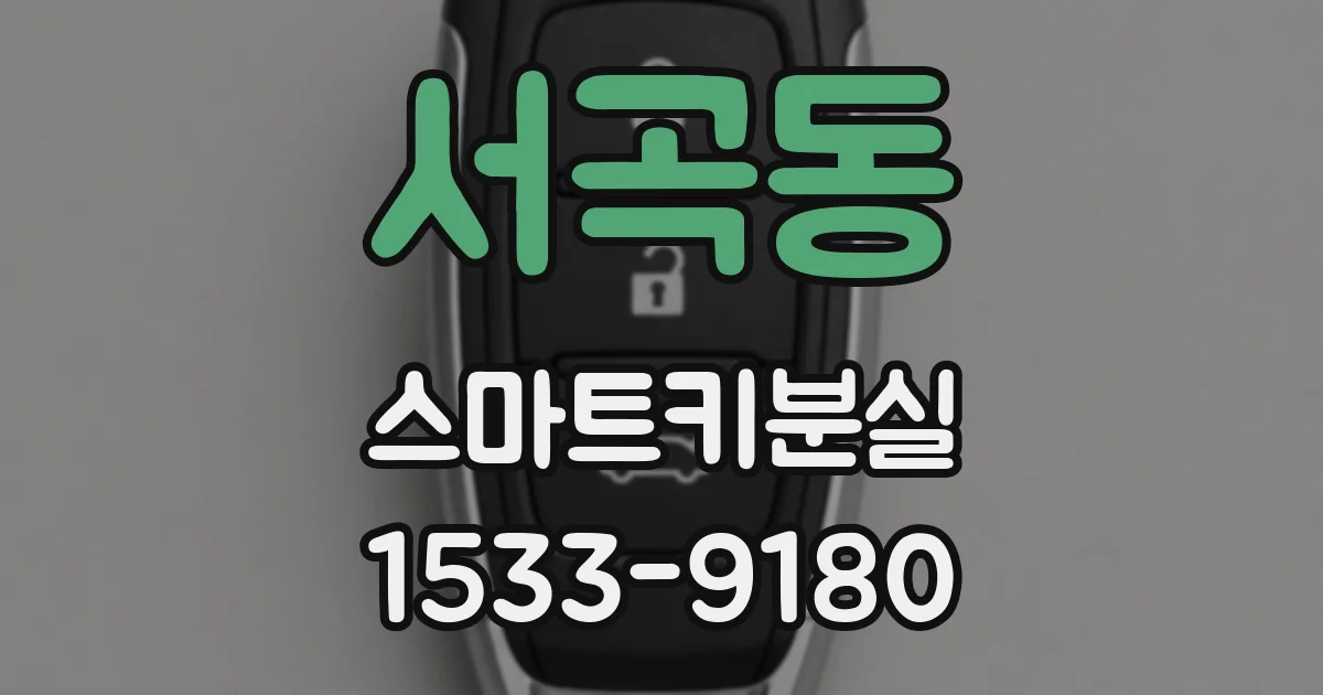 서곡동 스마트키분실