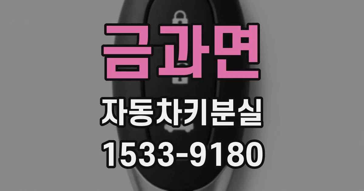 금과면 자동차키분실