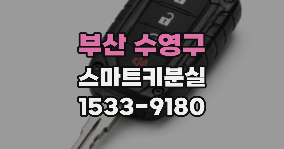 부산 수영구 스마트키분실