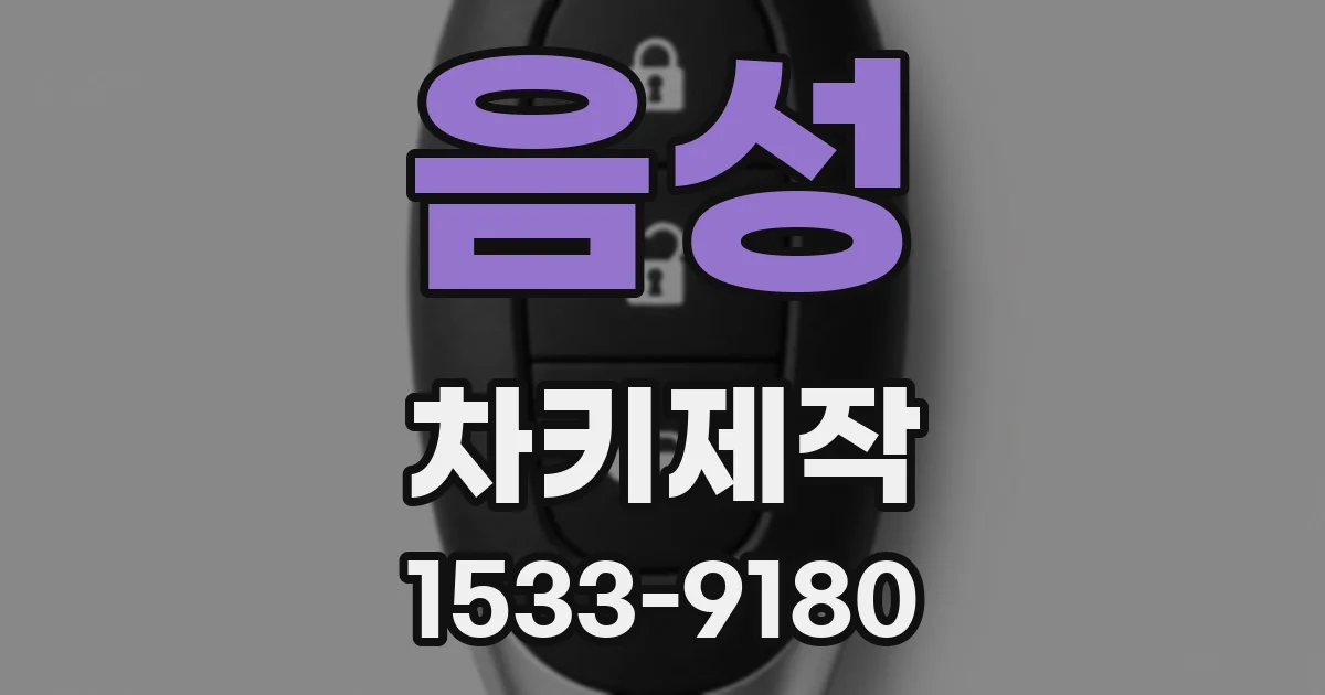 음성 차키제작
