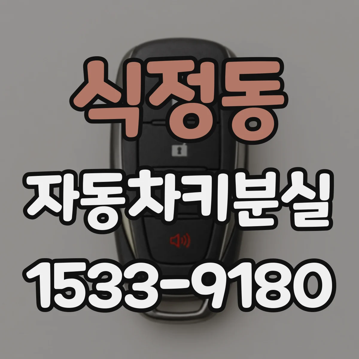 식정동 자동차키분실