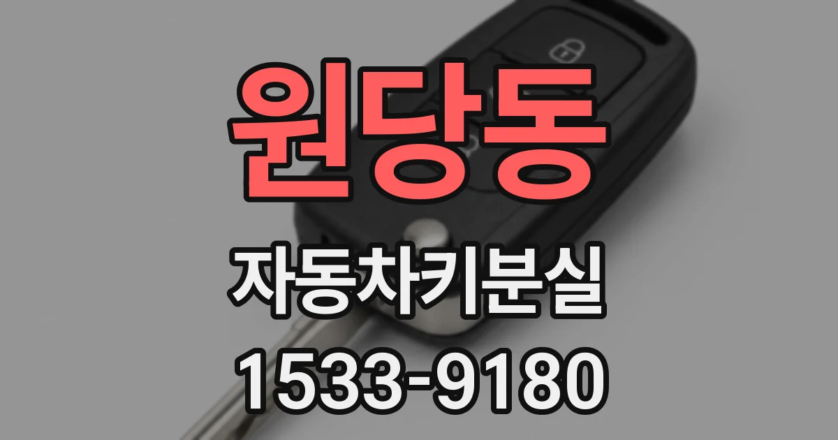 원당동 자동차키분실