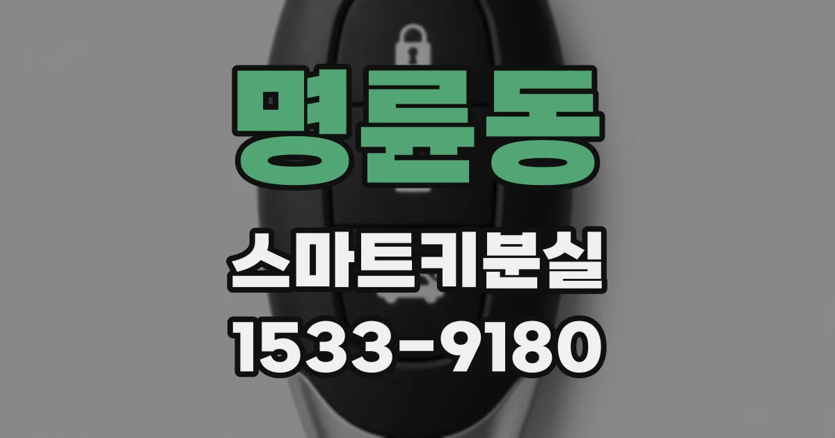 명륜동 스마트키분실