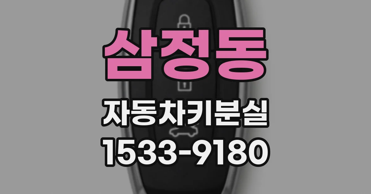 삼정동 자동차키분실