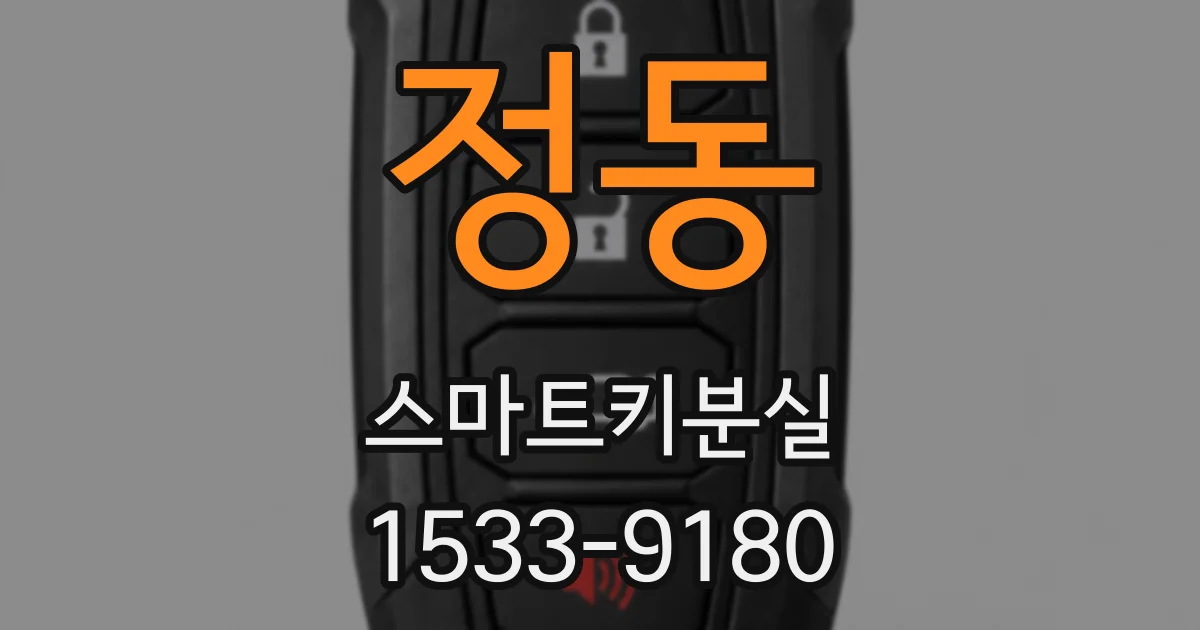 정동 스마트키분실