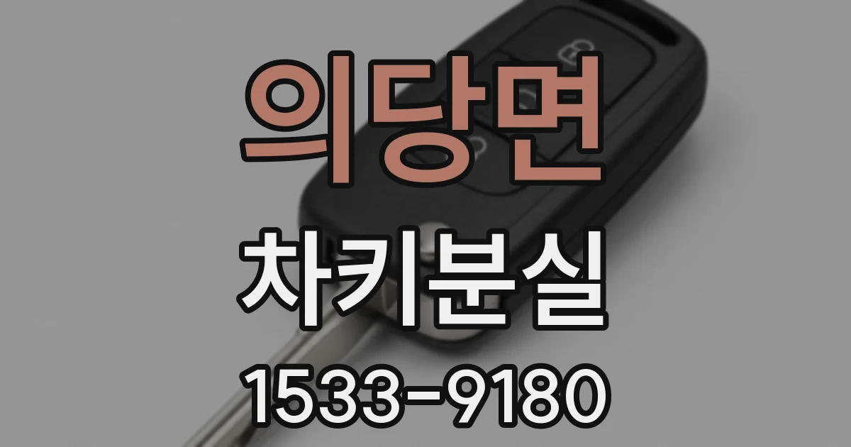 의당면 차키분실