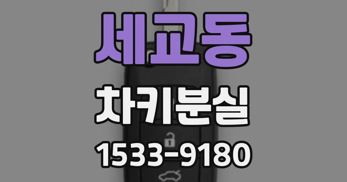 세교동 차키분실