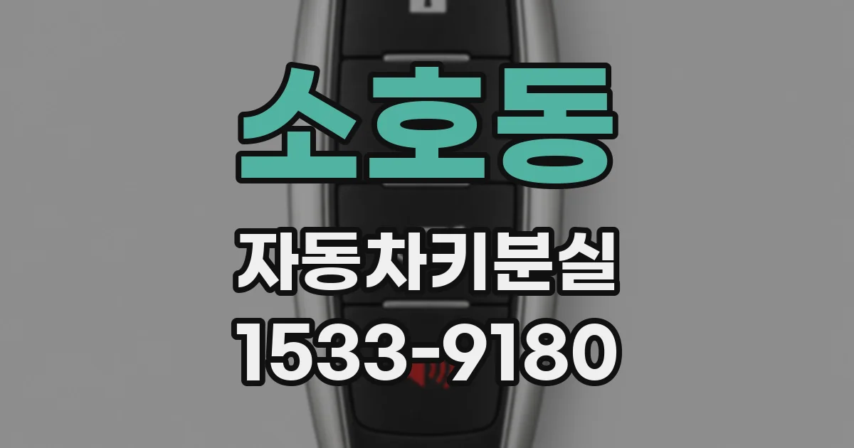 소호동 자동차키분실