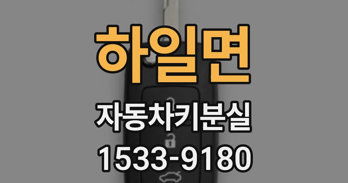 하일면 자동차키분실