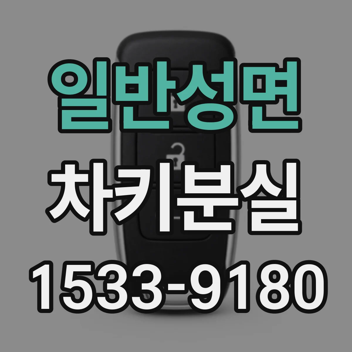 일반성면 차키분실