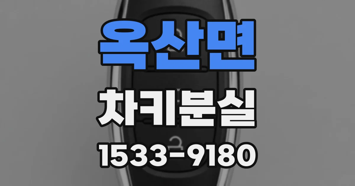 옥산면 차키분실