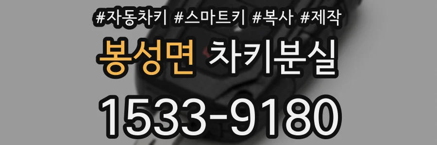 봉성면 차키분실