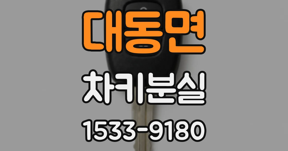 대동면 차키분실