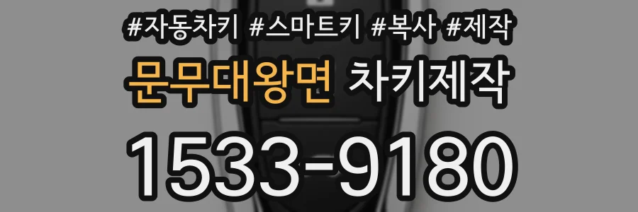 문무대왕면 차키제작