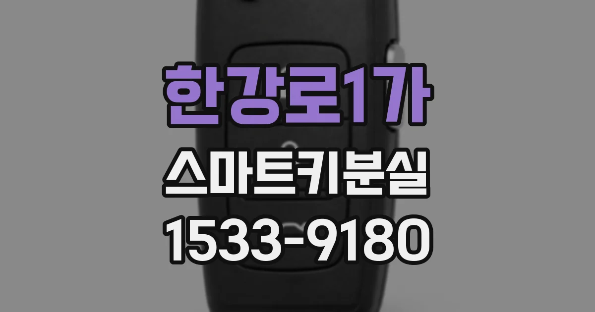 한강로1가 스마트키분실