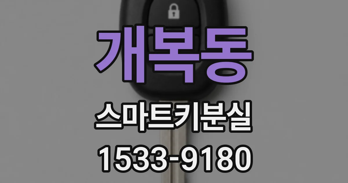 개복동 스마트키분실