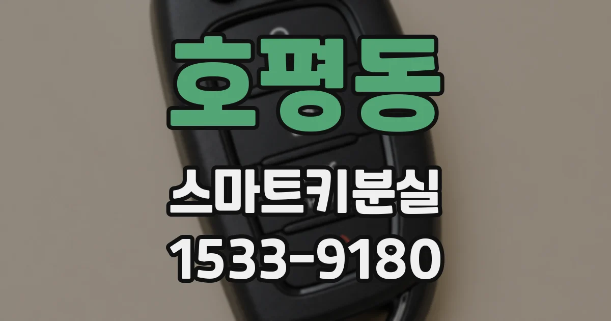 호평동 스마트키분실